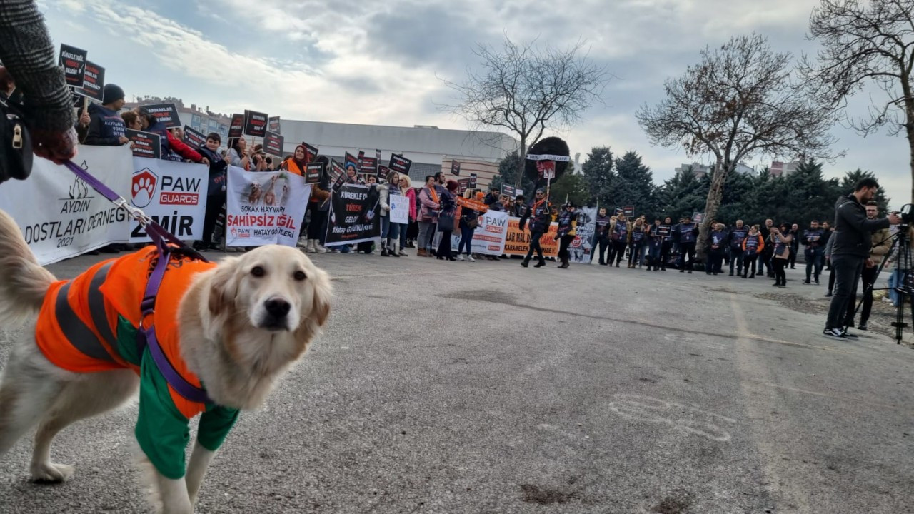 Hayvanseverlerden Konya’da eylem: Adalet istiyoruz