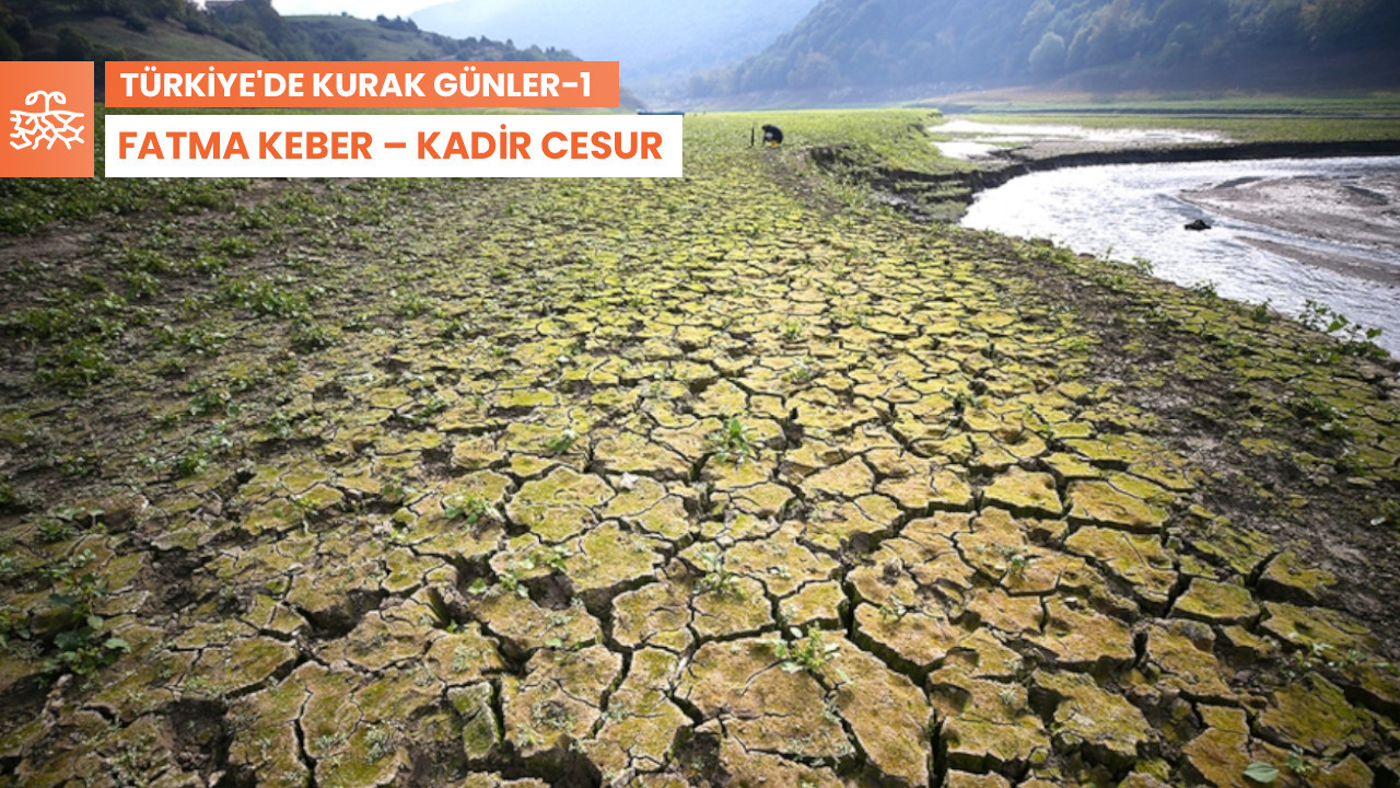 Türkiye’de Kurak Günler-1: Yağış olmazsa buğday kurtarılamaz