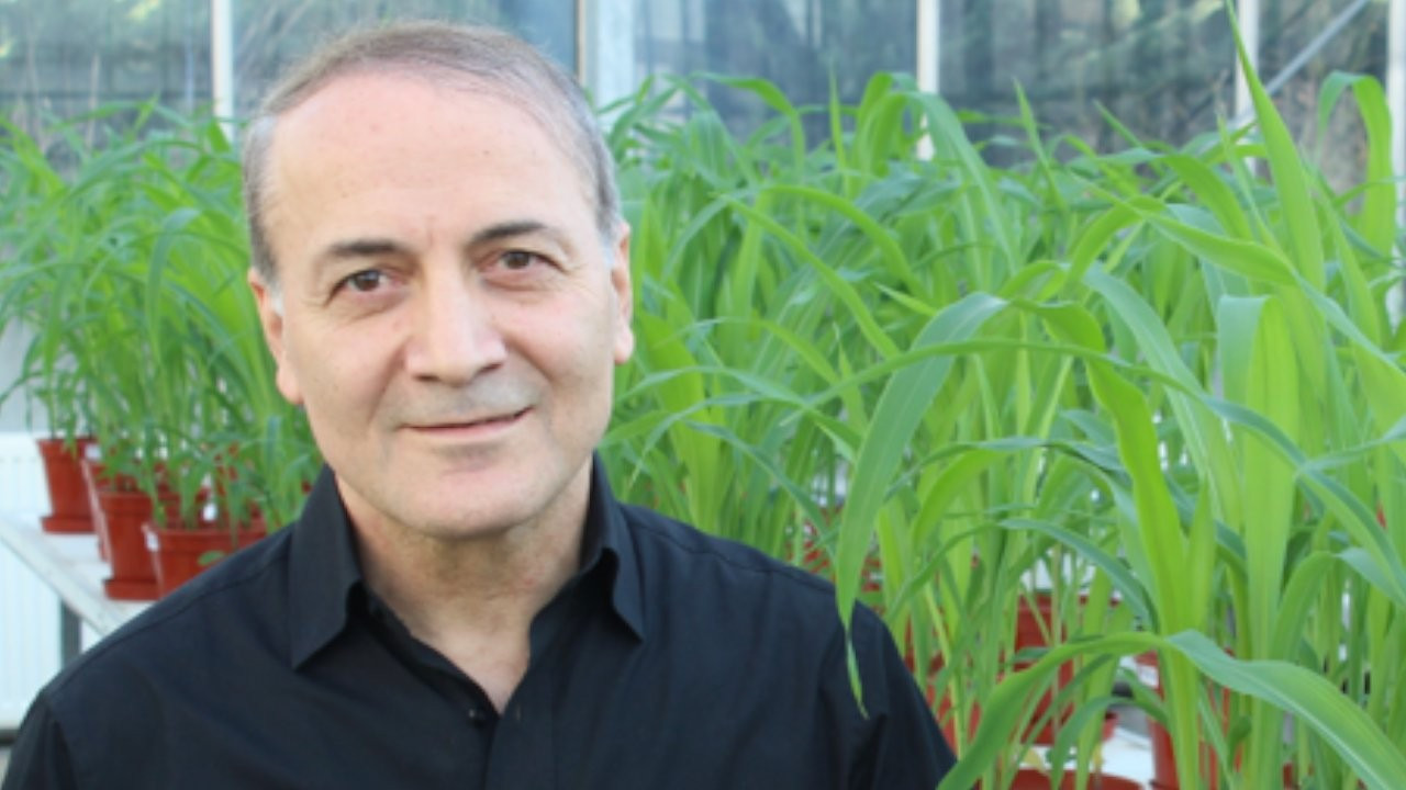 'Dünyanın En Etkili Bilim İnsanları' listesinde Türkiye'den Prof. İsmail Çakmak birinci oldu