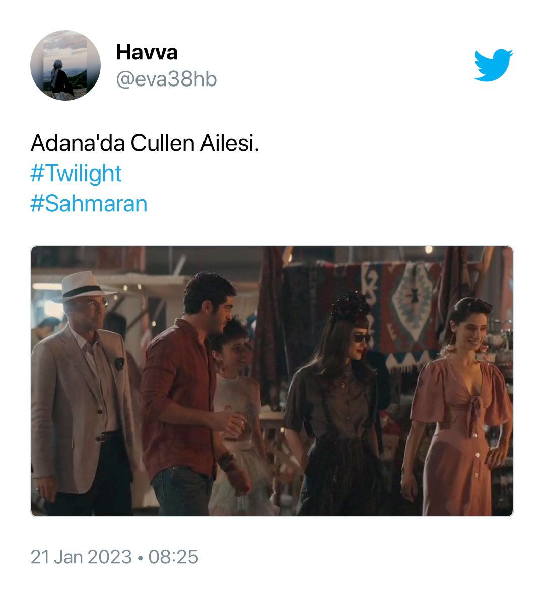 'Şahmaran' sosyal medya gündeminde: Adana'da geçen Twilight - Sayfa 3