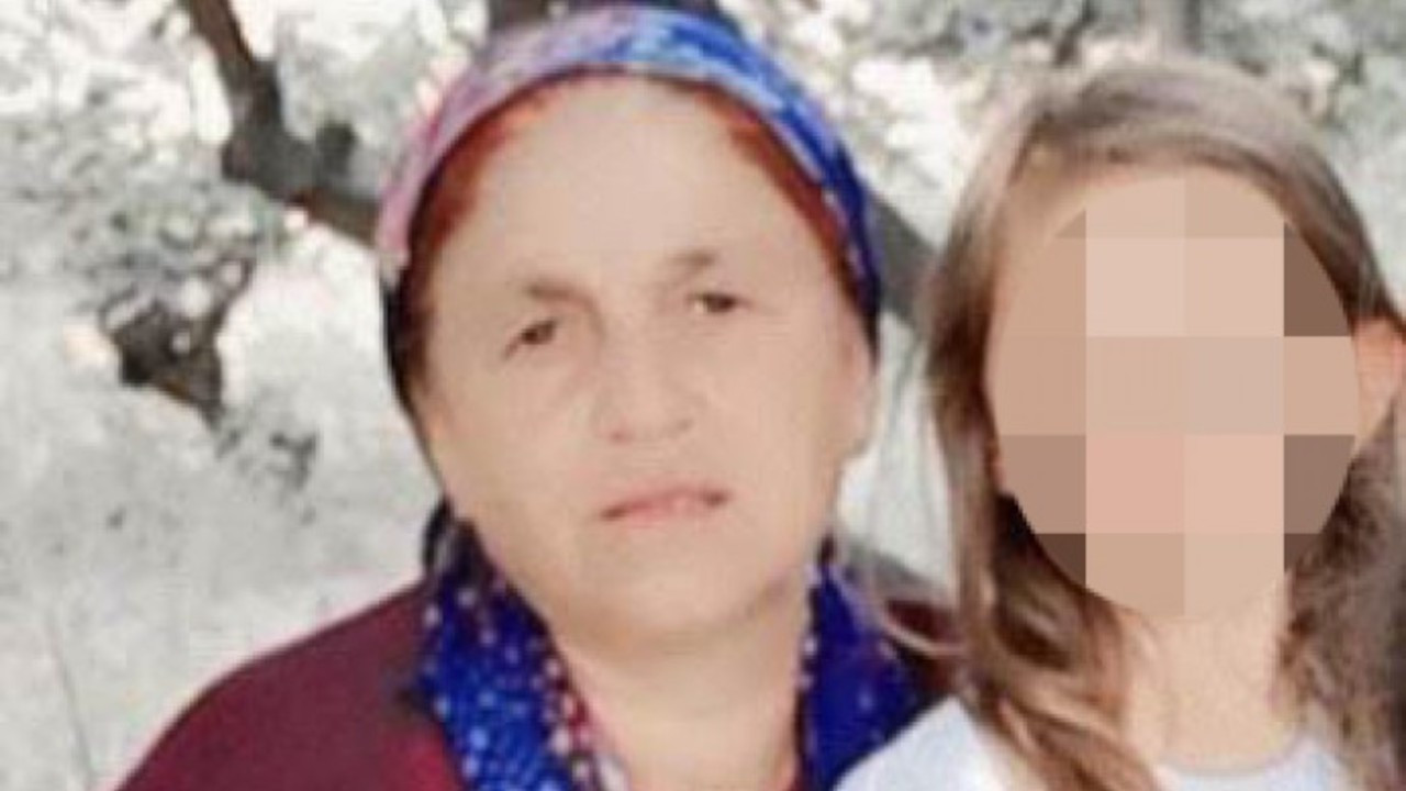 İdil'de 50 yaşındaki kadın gözaltına alındı