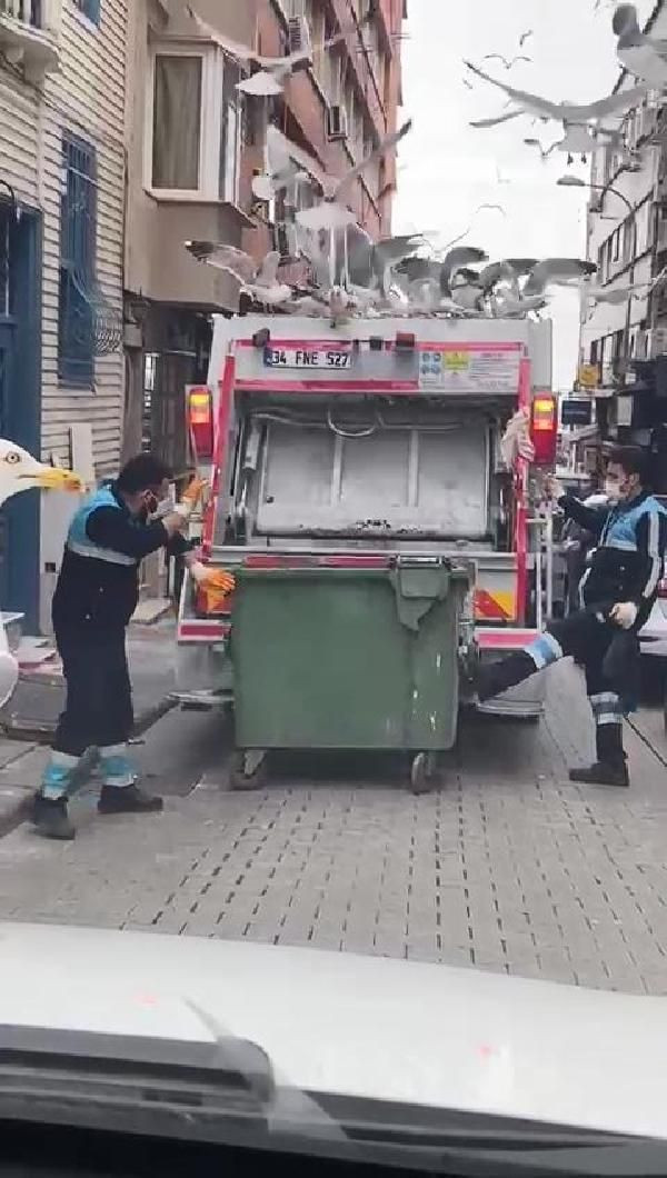 Kadıköy'de çöp kamyonunu martılar ele geçirdi - Sayfa 4