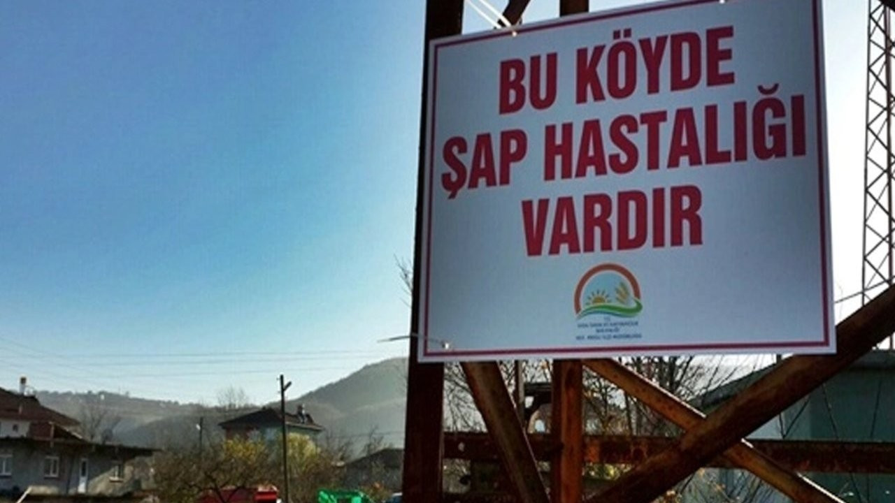 Nevşehir'in 5 köyünde 'şap' karantinası