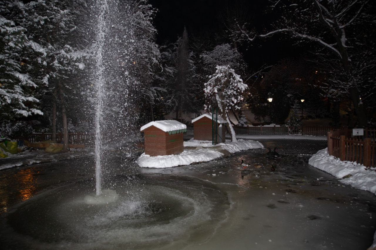 Kuğulu Park havuzu buz tuttu - Sayfa 3