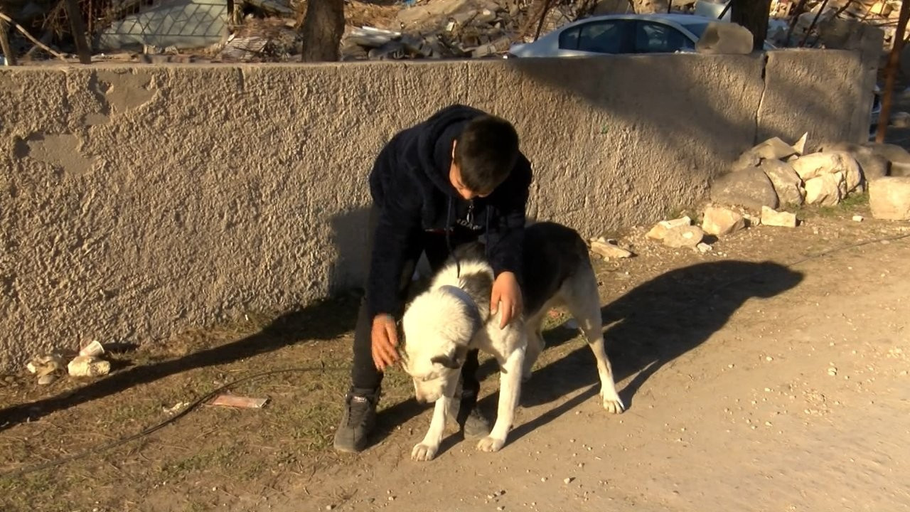 12 yaşındaki Çınar köpeğinin yardımıyla enkazdan çıktı