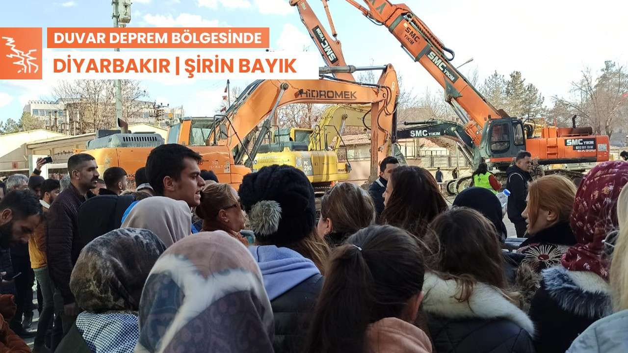 Diyarbakır Galeria'daki hayvanlar kurtarılmayı bekliyor: Yıkım kararı durduruldu