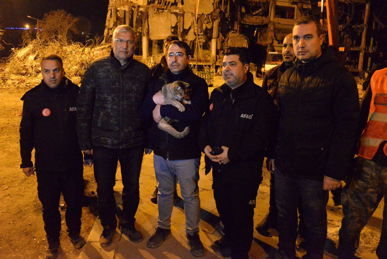 Diyarbakır Galeria Sitesi'nde Zeno kurtarıldı, 3 kedi için çalışma sürüyor - Sayfa 3