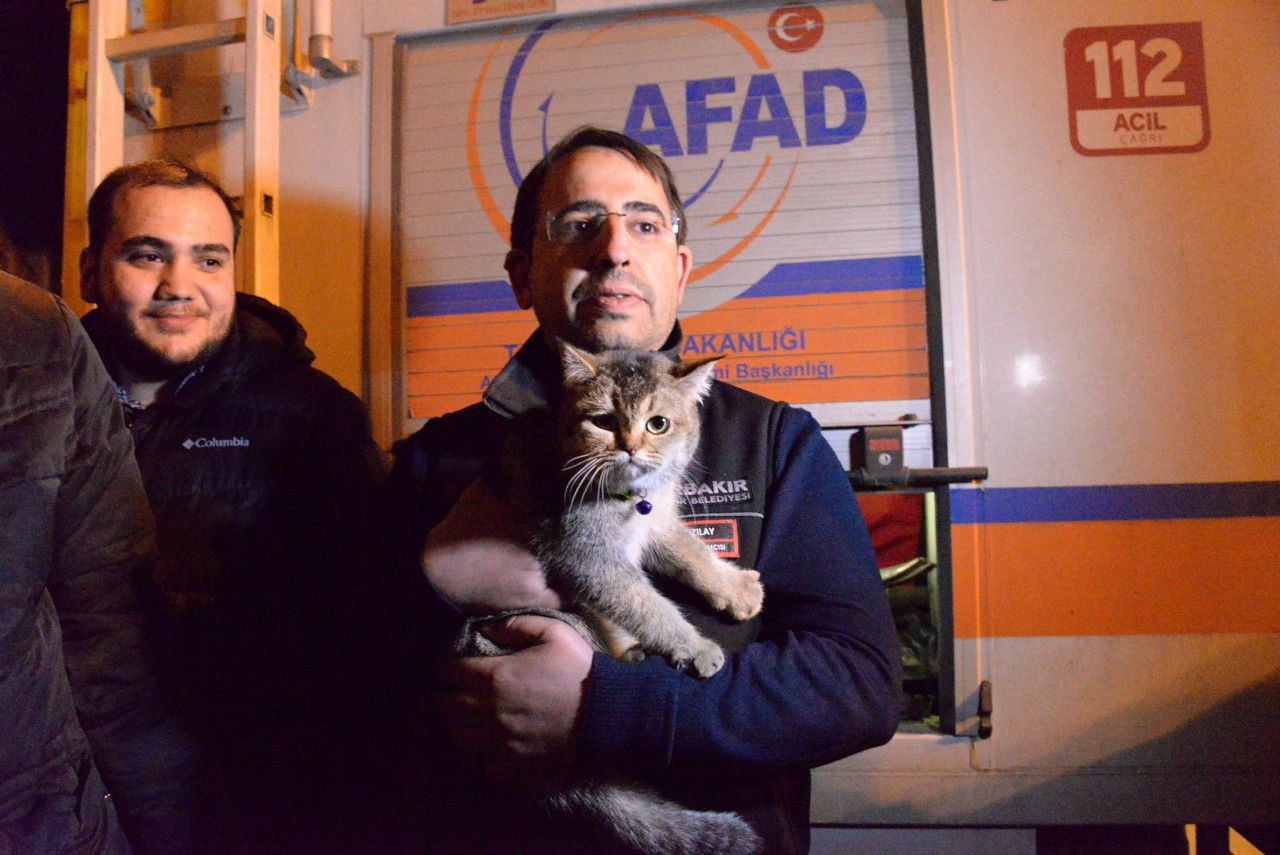 Diyarbakır Galeria Sitesi'nde Zeno kurtarıldı, 3 kedi için çalışma sürüyor - Sayfa 4