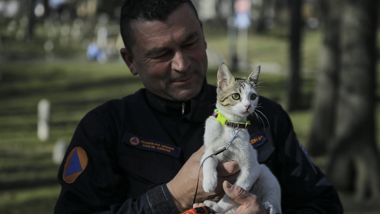 Bosna'dan gelmişti: Hatay'da sahiplendiği kediye Aleyna adını verdi