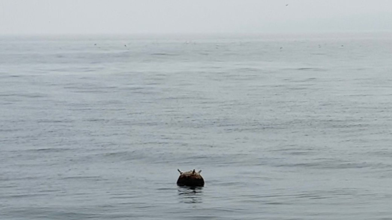 Karadeniz'de balıkçılar mayın buldu
