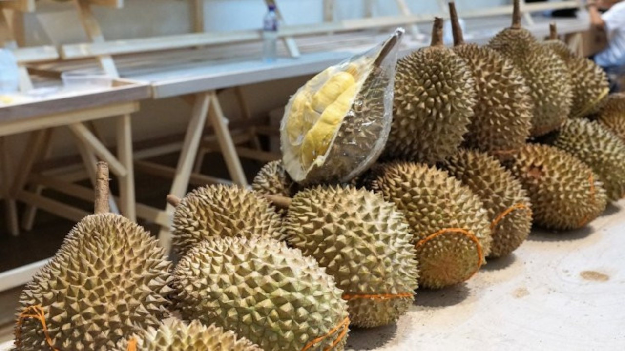THY uçağı 'durian' meyvesi yüzünden İstanbul'a döndü
