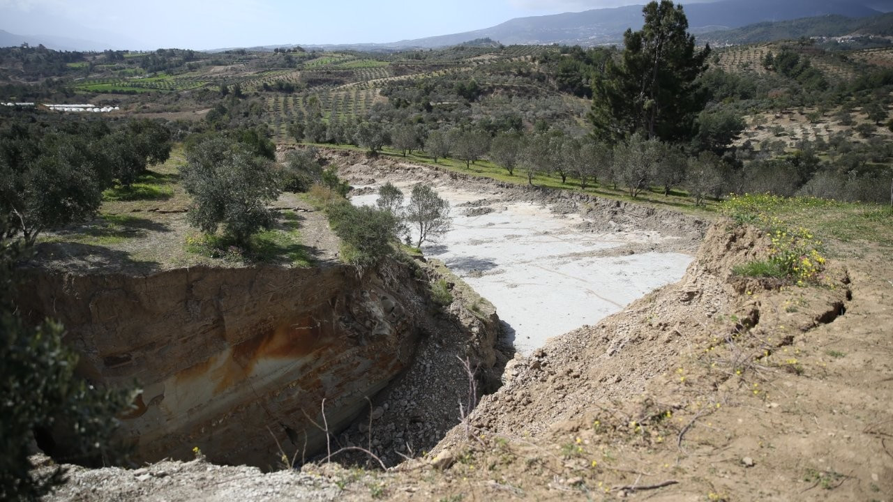Hatay'da depremler zeytin bahçesini ikiye böldü