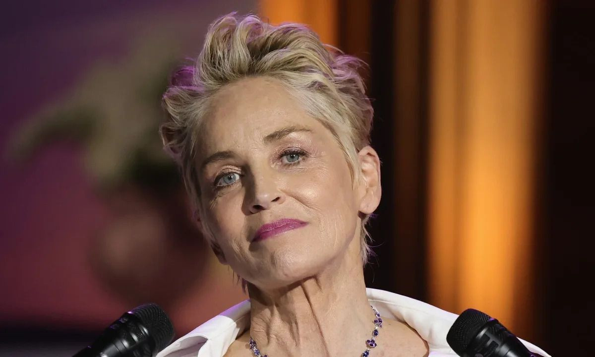 Sharon Stone: 'Temel İçgüdü' filmi yüzünden oğlumun velayetini kaybettim - Sayfa 3