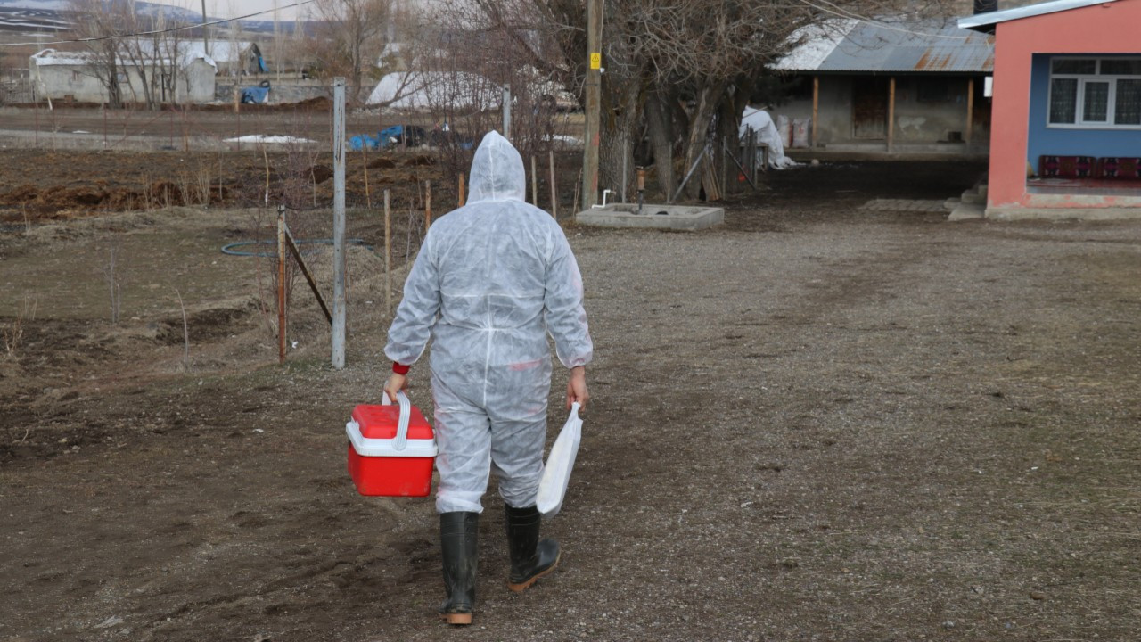 Bartın'da 90 köyde şap karantinası: 2 havyan pazarı kapatıldı