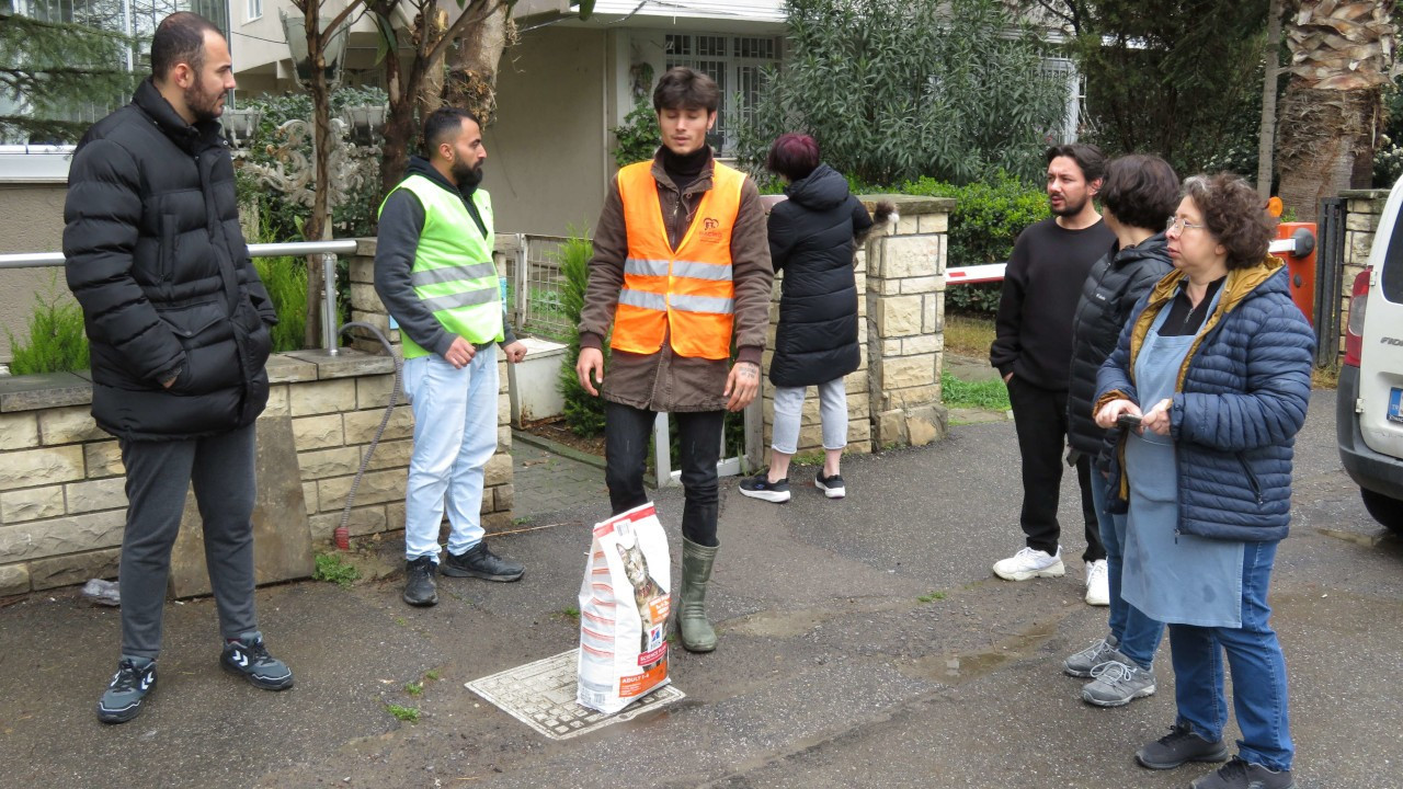 Kadıköy'de toplu kedi ölümleri protesto edildi