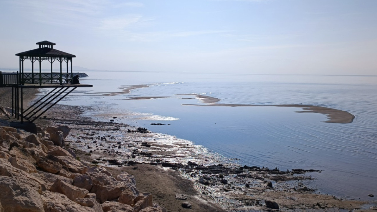 Dünya Su Günü'nde Van Gölü: 'Tarihin en büyük su kaybı yaşandı'