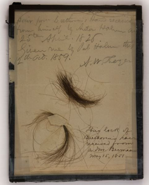200 yıllık saç telleri incelendi: Beethoven’ın ölüm nedeni ortaya çıktı - Sayfa 3