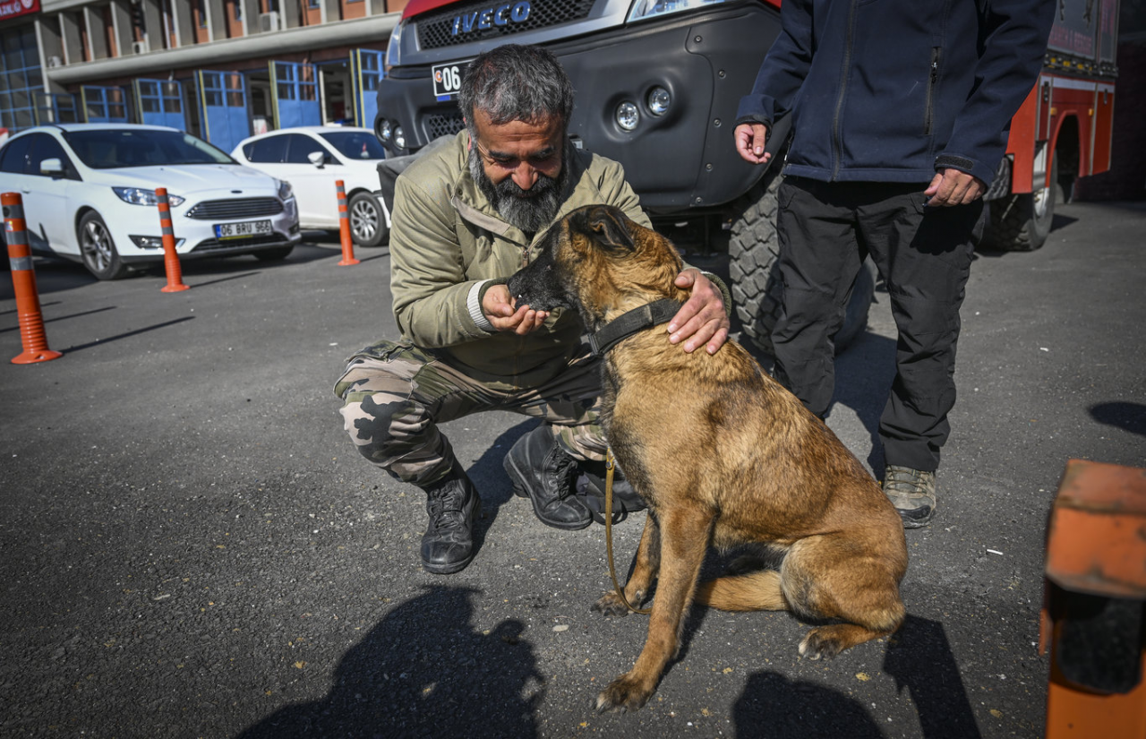Kendisini enkazdan kurtaran köpek için Ankara'ya taşınacak - Sayfa 1