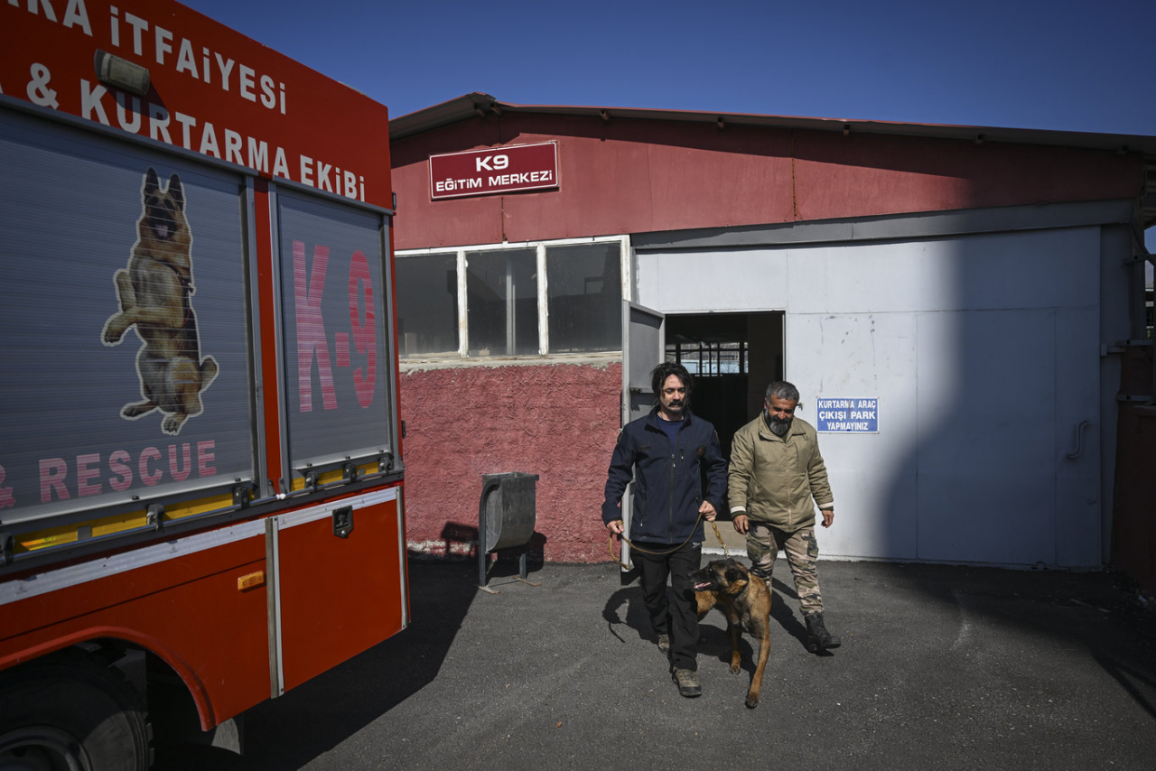 Kendisini enkazdan kurtaran köpek için Ankara'ya taşınacak - Sayfa 4