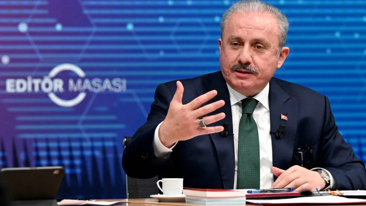 Şentop: Benim de makalem var, Erdoğan'ın adaylığında hukuki sorun yok