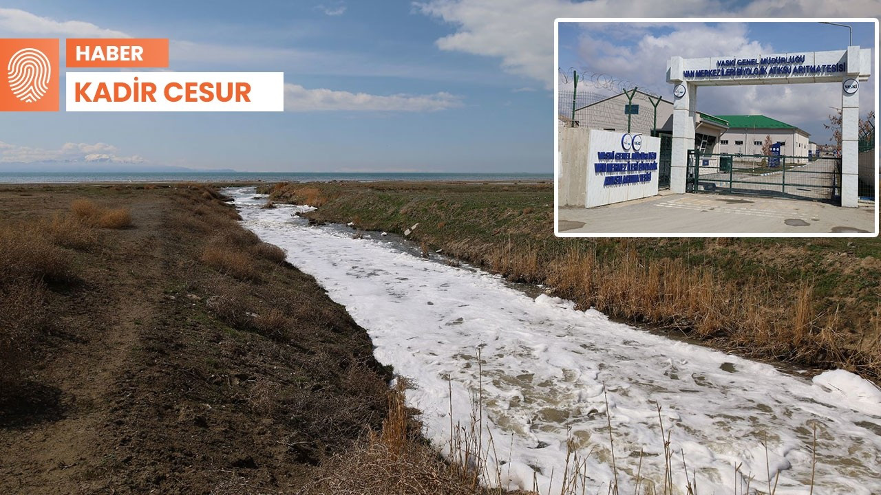 Van Gölü'ne boşaltılan atık suları arıtılmıyor: 'Bu bir vahşet...'