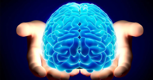 Araştırma: Beyindeki iç pusulanın nasıl çalıştığı tespit edildi - Sayfa 4