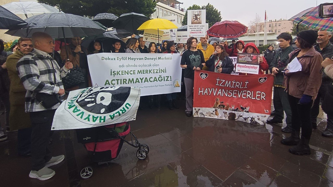 Hayvan hakları savunucuları DEÜ Rektörlüğü'nü protesto etti