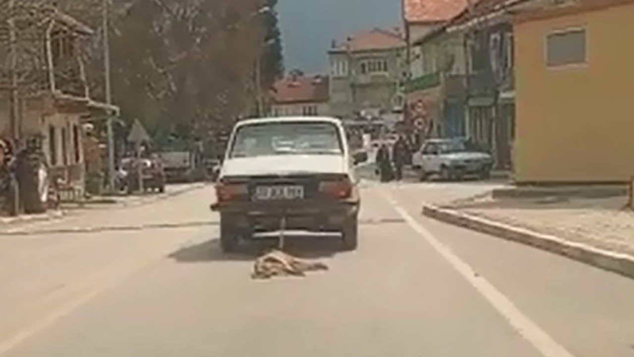 Otomobilin arkasına bağladığı köpeği sürükleyerek öldürdü