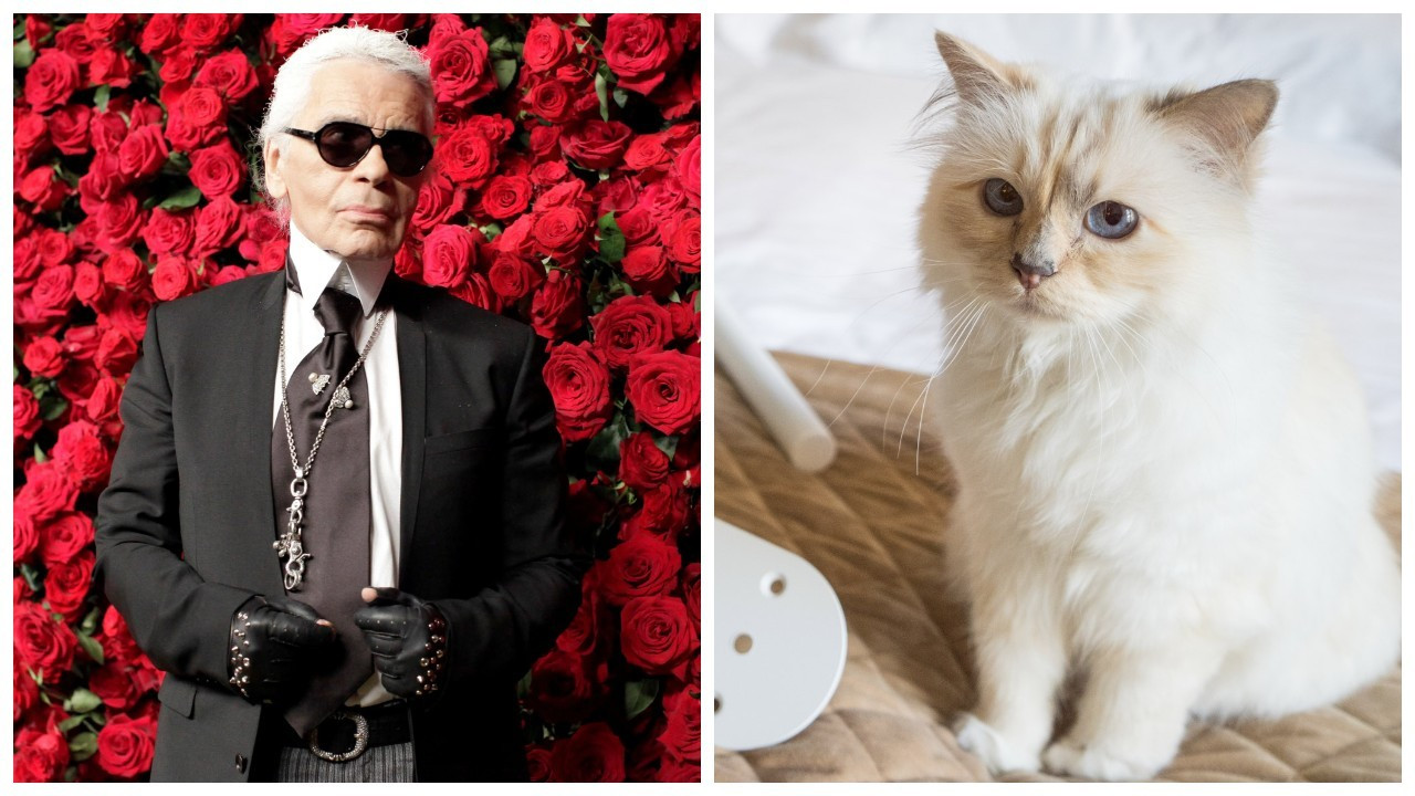 Modacı Karl Lagerfeld'in kedisi Choupette Met Gala'ya davet edildi