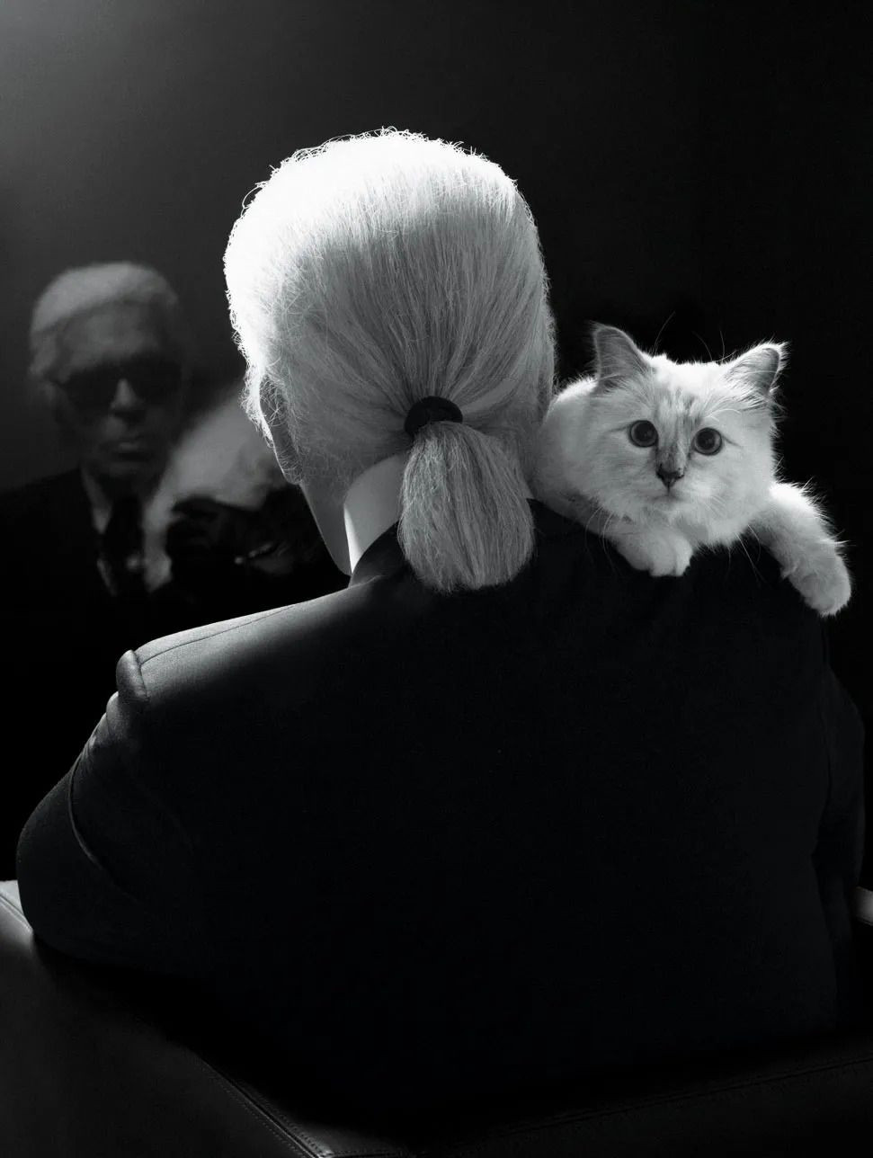Modacı Karl Lagerfeld'in kedisi Choupette Lagerfeld Met Gala'ya davet edildi - Sayfa 2