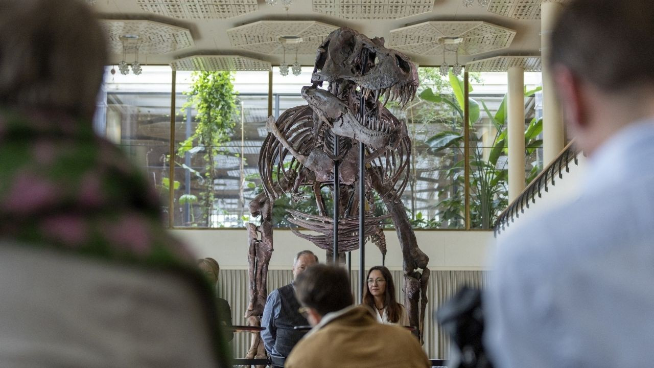 Bir ilk: 67 milyon yıllık iskelet 6,2 milyon dolara satıldı