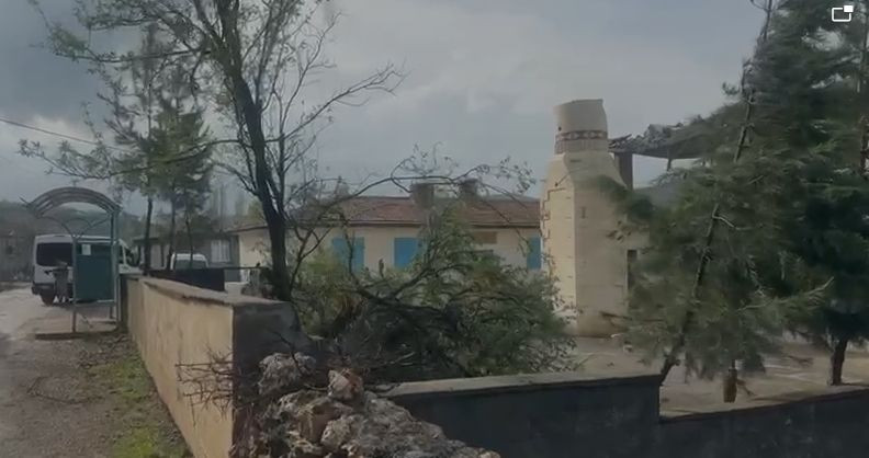 Diyarbakır'da fırtına: Ağaçlar yerinden söküldü, ceviz büyüklüğünde dolu yağdı - Sayfa 2