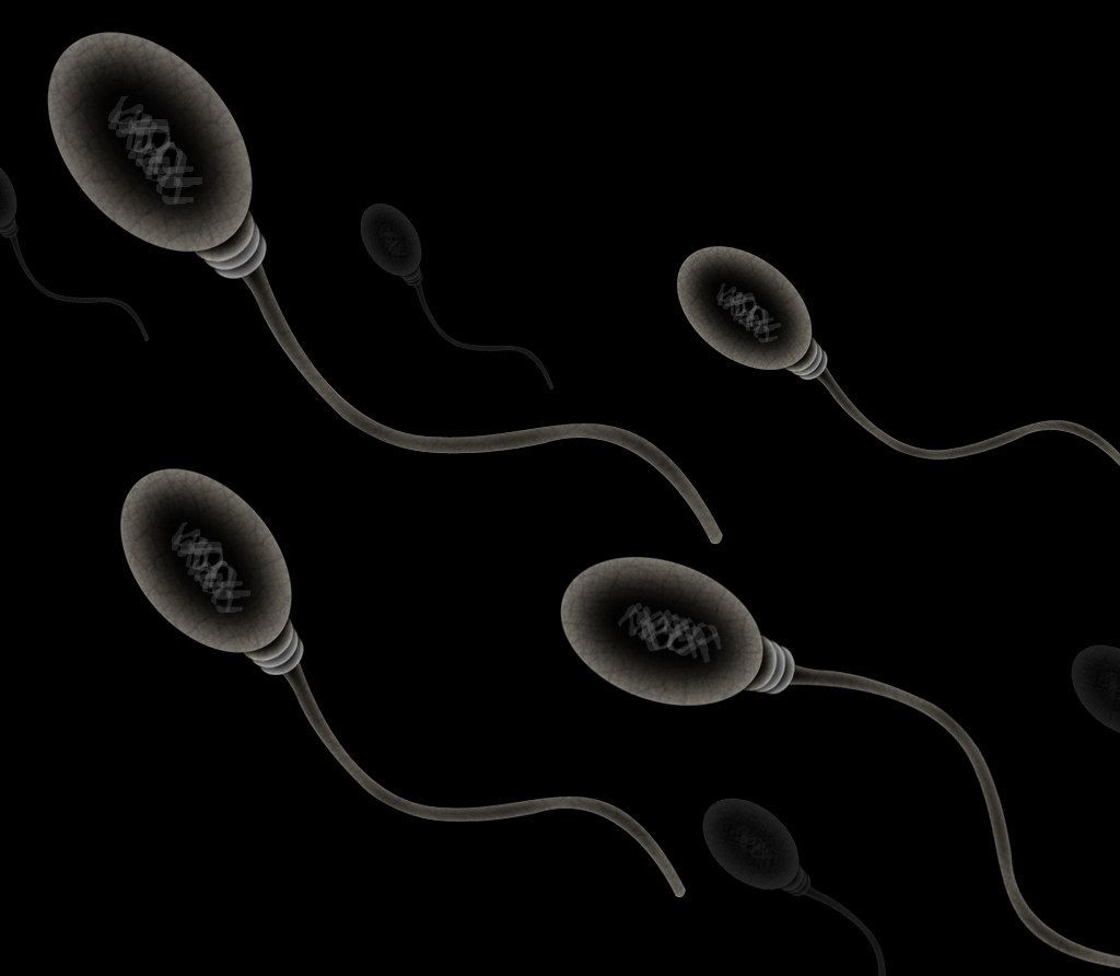 550 çocuklu erkeğe yasak: Sperm bağışlayamayacak - Sayfa 2