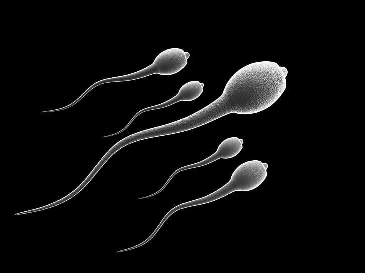 550 çocuklu erkeğe yasak: Sperm bağışlayamayacak - Sayfa 1