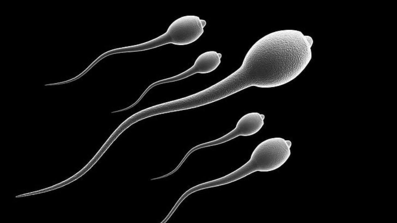 550 çocuklu erkeğe yasak: Sperm bağışlayamayacak