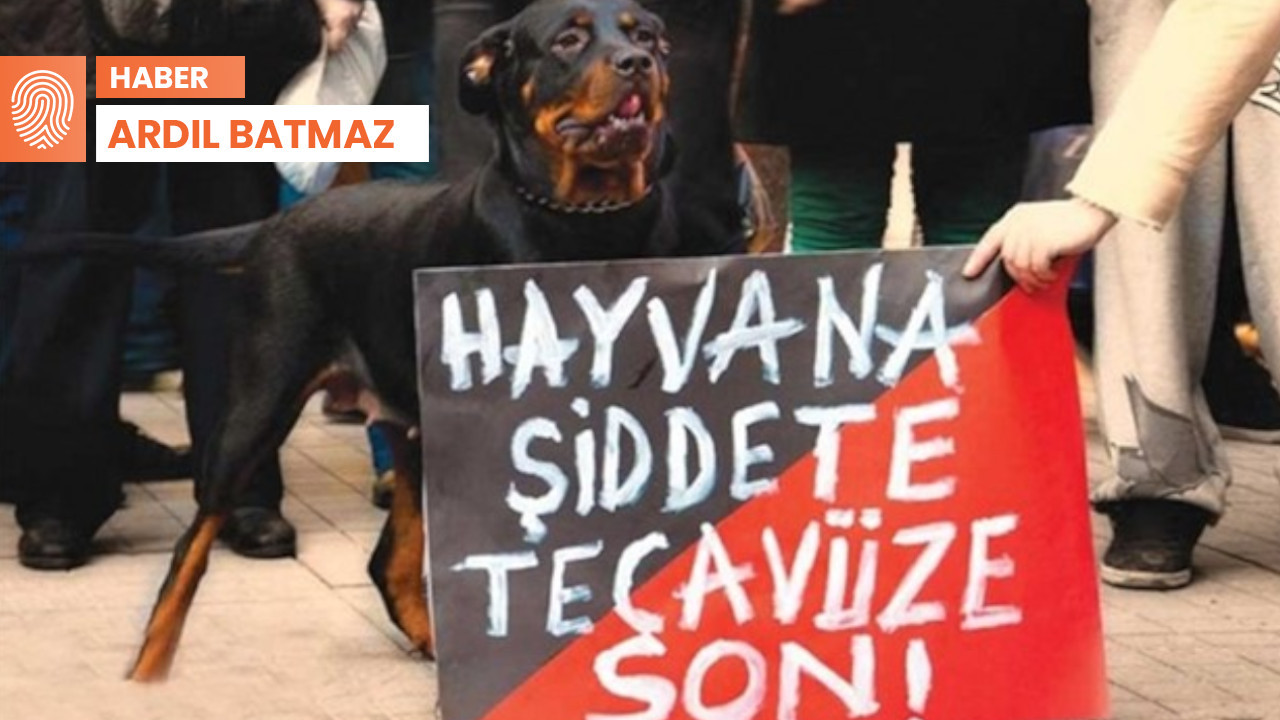 Ankara'da ata cinsel saldırı