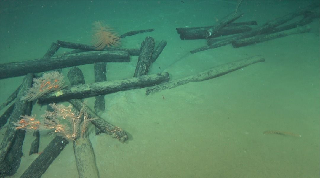 Güney Çin Denizi'nde 2 antik gemi enkazı keşfedildi - Sayfa 2