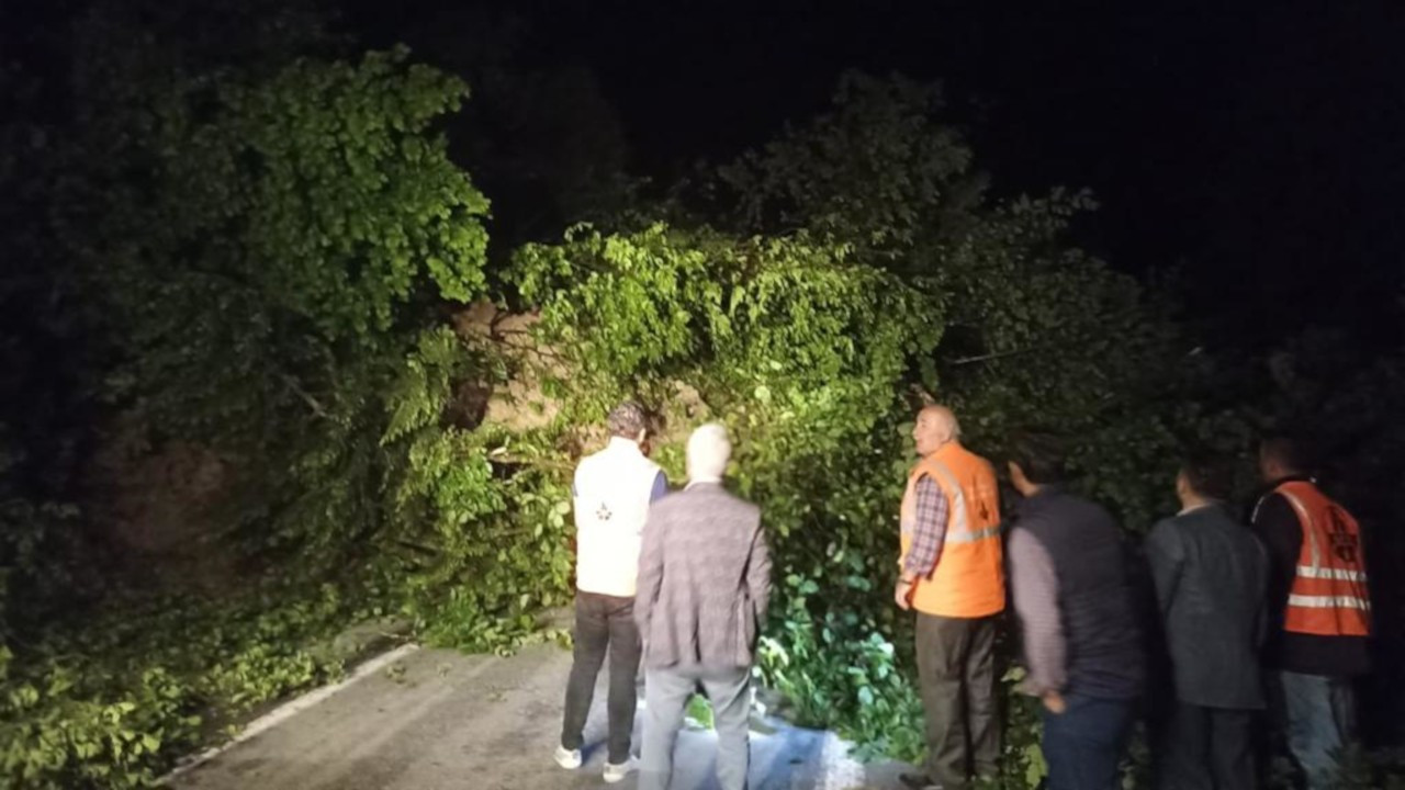Trabzon'da heyelan: Yol kapandı, 7 mahalle elektriksiz kaldı