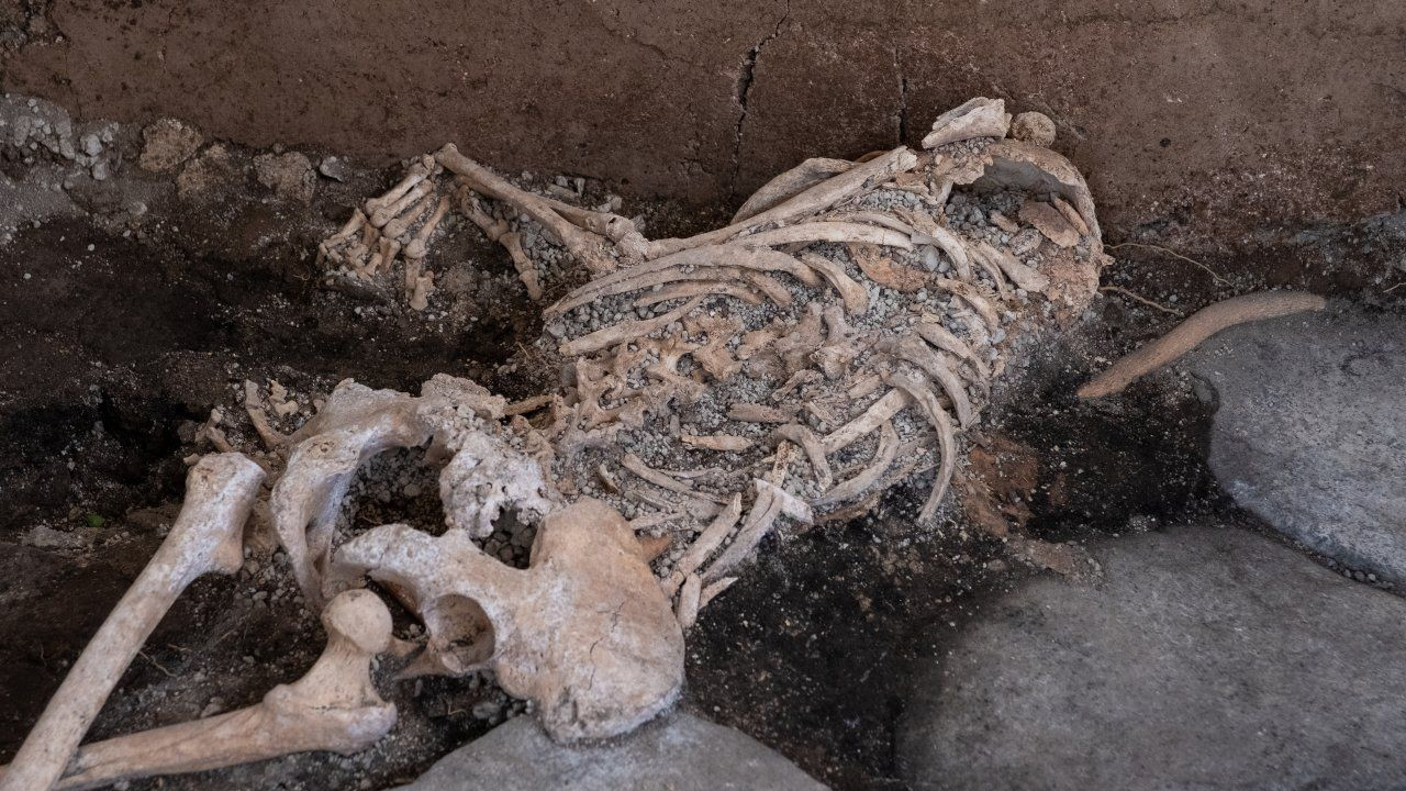 Pompeii Arkeoloji Parkı'nda yeni buluntular ortaya çıktı - Sayfa 3