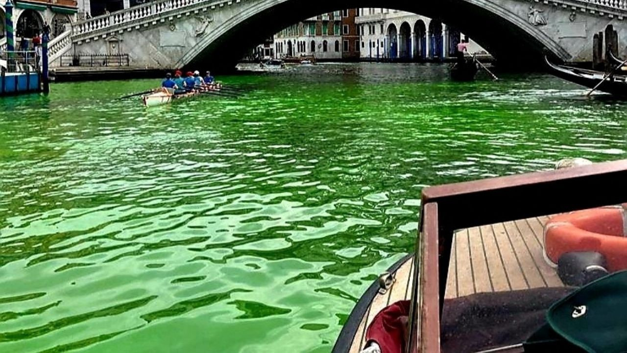 Büyük Kanal'ın suyu yeşile dönmüştü: Sebebi açıklandı