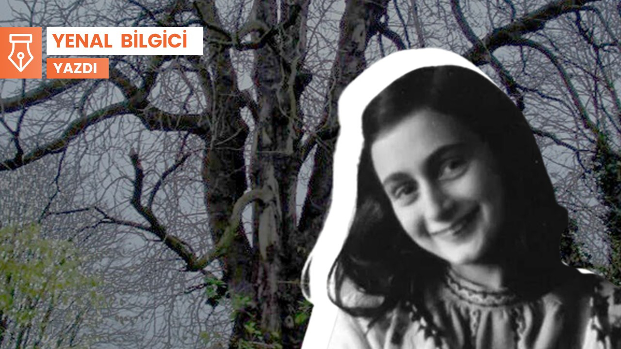 Anne Frank’ın ağacının gitgide çiçeklenen hikâyesi 