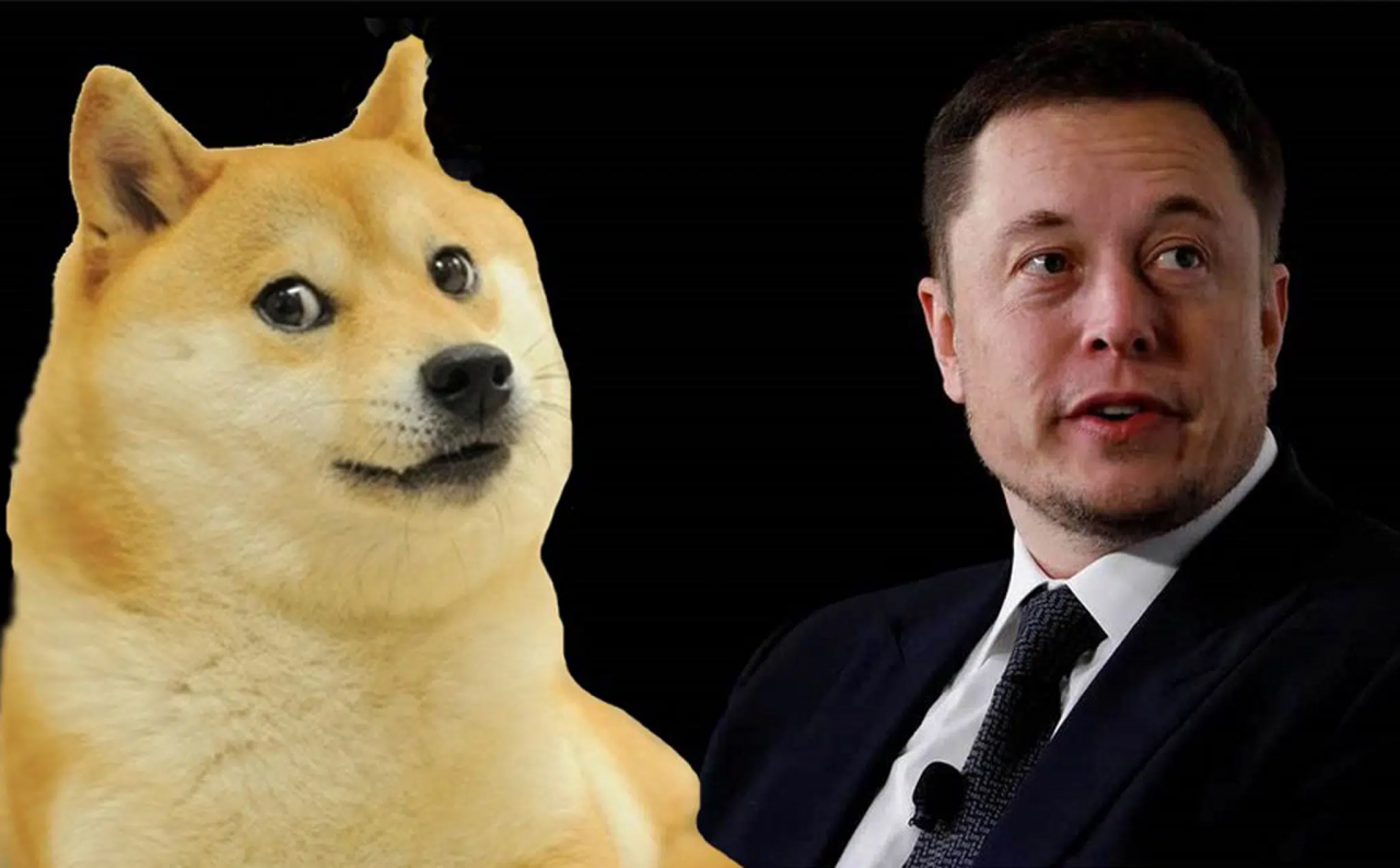 Dogecoin davasında Elon Musk'a 'içeriden bilgi ticareti' suçlaması - Sayfa 4