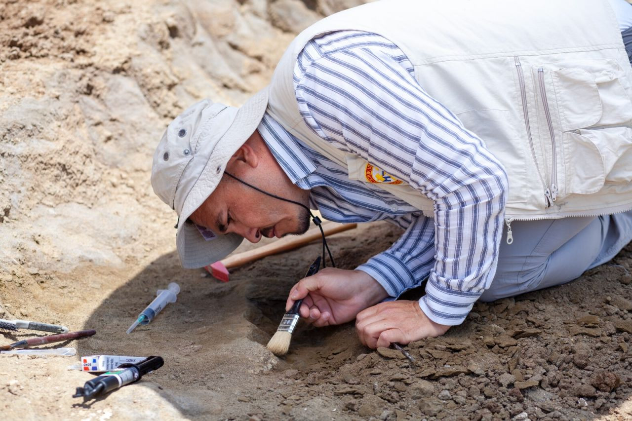 Çankırı'da dev gergedan fosiline ait kemikler bulundu - Sayfa 1