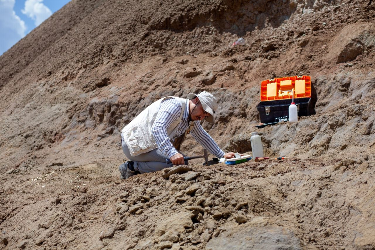Çankırı'da dev gergedan fosiline ait kemikler bulundu - Sayfa 2