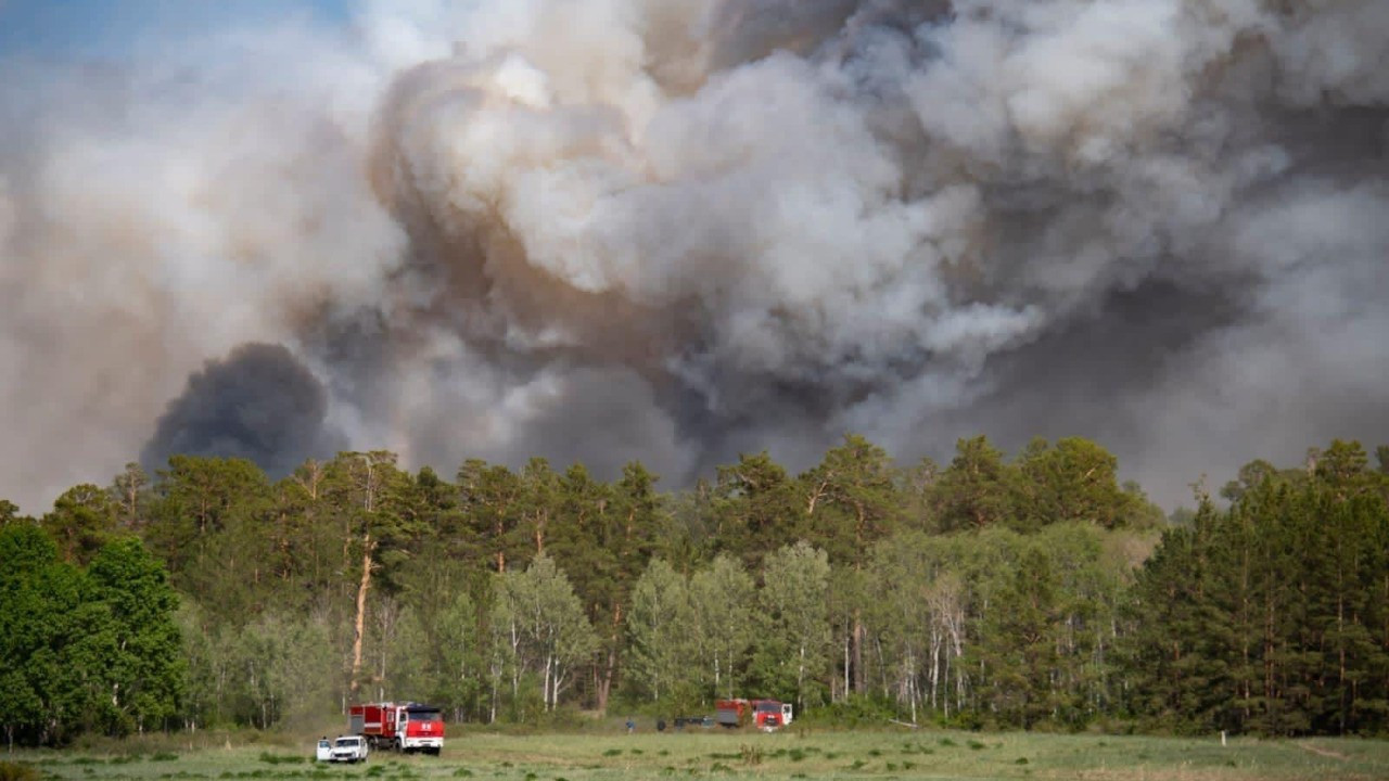 Kazakistan'da 8 Haziran'da çıkan orman yangını kontrol altına alındı