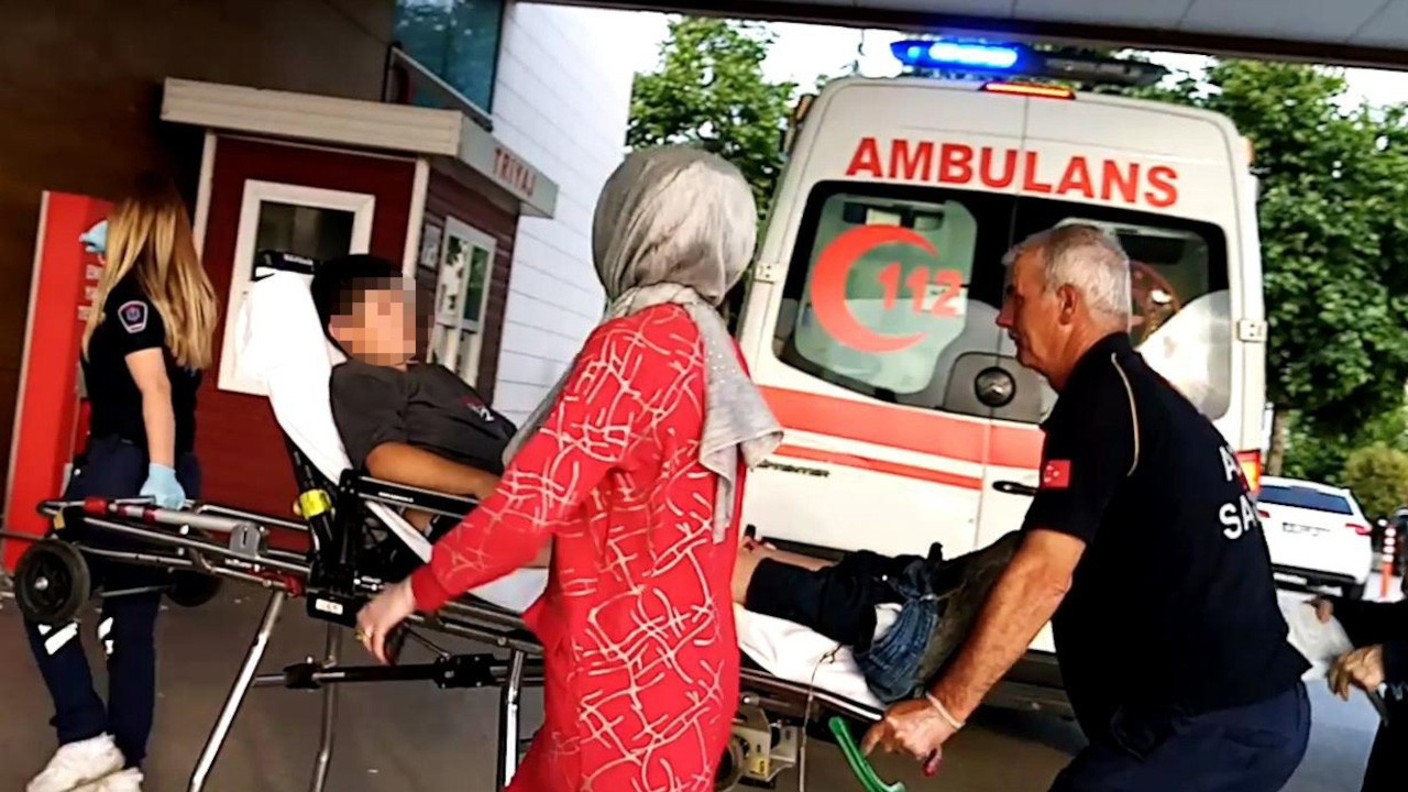 Bursa'da yılanın ısırdığı çocuk hastaneye kaldırıldı