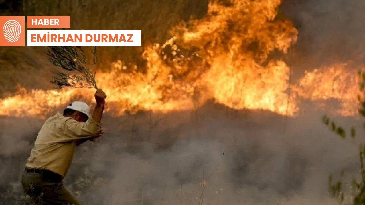 Yangın alarmı: 'İnsan-orman etkileşimi azaltılmalı'