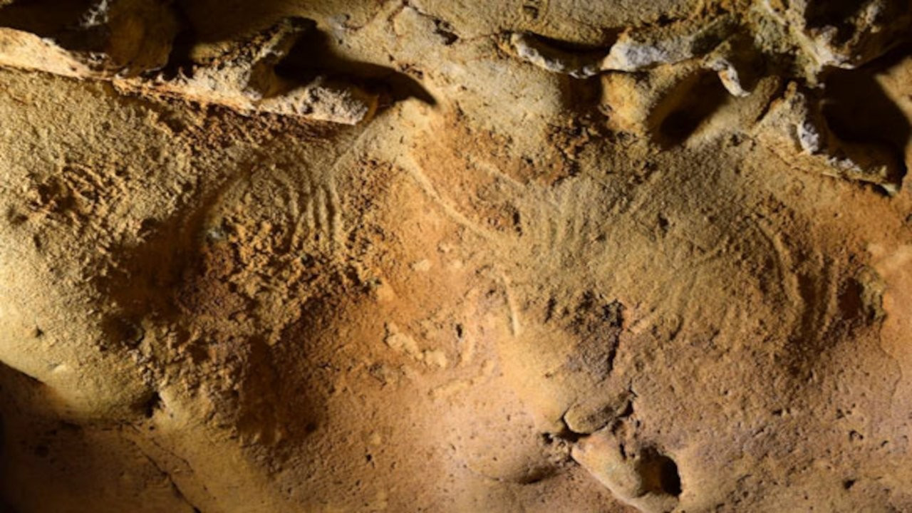 Fransa’da 57 bin yıllık neandertal gravürleri bulundu