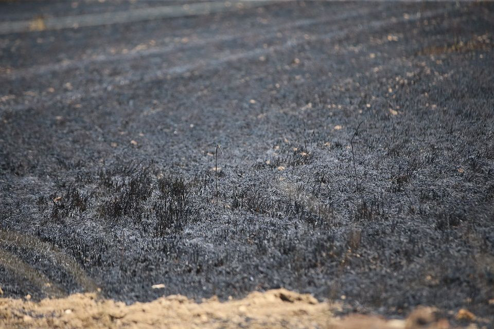 Kırklareli'nde 90 dönüm buğday tarlası yandı - Sayfa 2
