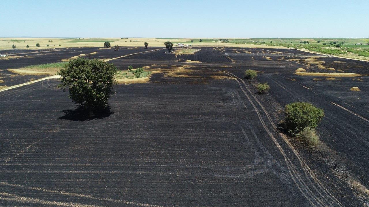 Kırklareli'nde 90 dönüm buğday tarlası yandı
